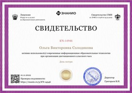 Обложка для материала Свидетельство "День матери"