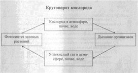 Материал к урокам  биологии