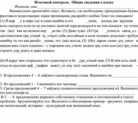 Итоговый контроль. Общие сведения о языке. Русский язык. 11 класс