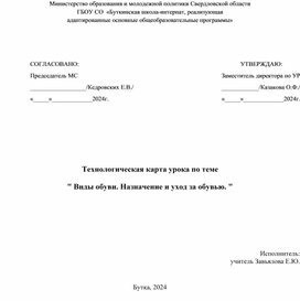 Технологическая карта урока "Виды обуви. Назначение и уход за обувью."