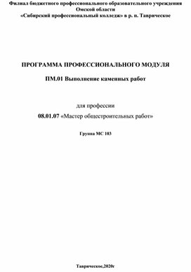 ПРОГРАММА ПРОФЕССИОНАЛЬНОГО МОДУЛЯ  ПМ.01 Выполнение каменных работ