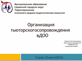 Обложка для материала Организация тьюторского сопровождения в ДОО