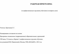 РАБОЧАЯ ПРОГРАММА  по профессионально-трудовому обучению (столярное дело)