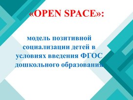 "OPEN SPACE" Модель