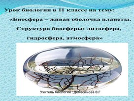 Урок на тему: " Биосфера- живая оболочка Земли. Структура биосферы