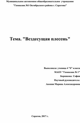 Научно-исследовательская работа