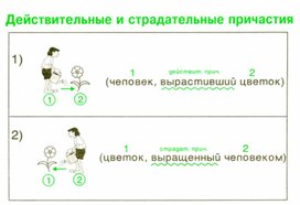 Обложка для материала грамматика_руссого _языка_в_таблицах_5-9 кл