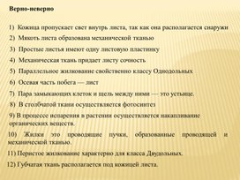 Презентация "Стебель, его строение" 6 класс