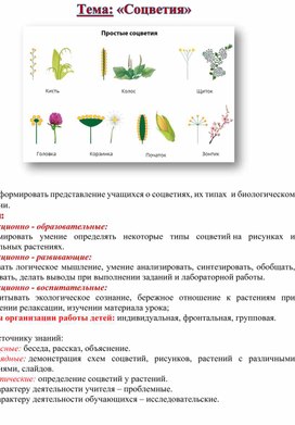 Обложка для материала Соцветие