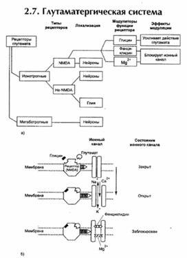 Обложка для материала материал по психофизиологии
