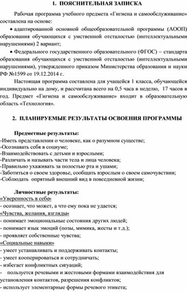 Рабочая программа Социальный мир. 1 класс. Обучение на дому.