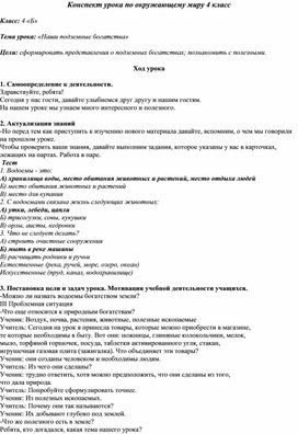 Конспект по окружающему миру на тему "Наши подземные багатства"