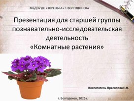 Обложка для материала Презентация для детей старшей группы "Комнатные растения"