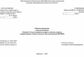 Рабочая программа для 2-3 классов