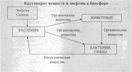 Материал к урокам  биологии