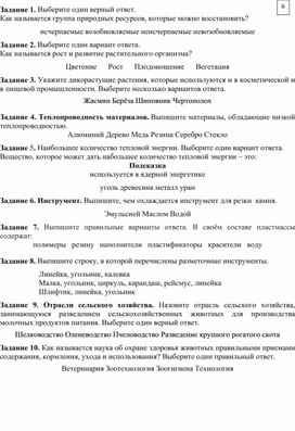 Итоговый тест 6 класс