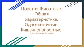 Царство Животные. Общая характеристика. Одноклеточные. Кишечнополостные