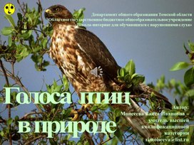 Обложка для материала Презентация "Голоса птиц в природе"