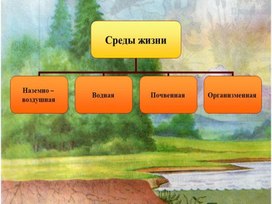 Обложка для материала Презентация к уроку биологии. 7 класс. Тема: " Среды жизни"