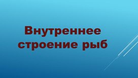 Презентация по биологии "Внутреннее строение рыб"