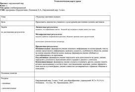 Технологическая карта урока по окружающему миру 2 класс, программа "Перспектива", "Чудесные цветники осенью"