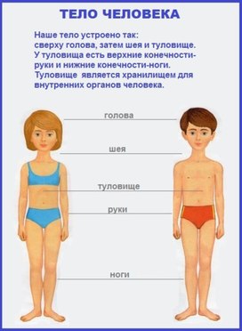 Обложка для материала биология
