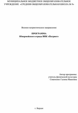 Рабочая программа ЮО ВПК "Патриот"