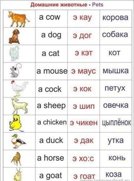 Обложка для материала англяз
