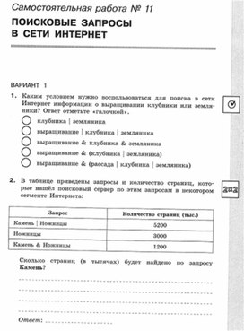 Обложка для материала Информатика._11кл._самостоятельная работа_поисковые запросы_1