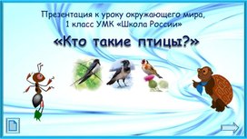 Обложка для материала Кто такие птицы?