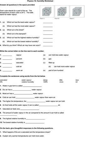 Обложка для материала humidity worksheet