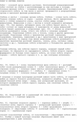 Обложка для материала прокамбий