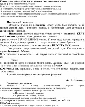 Контрольная работа тема: "Имя существительное, имя прилагательное"