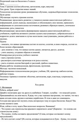 Строение клетки (оболочка, цитоплазма, ядро, вакуоли)