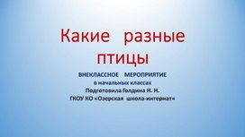 Обложка для материала презентация  к внеклассному занятию "Птицы - наши друзья"