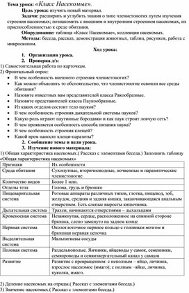 Конспект класс насекомые