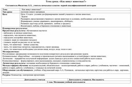 Урок окружающего мира в 1 классе. А,А.Плешаков. "Школа России"