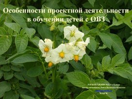 Презентация "Особенности проектной деятельности в обучении детей с ОВЗ"