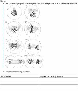 Карточки по теме митоз