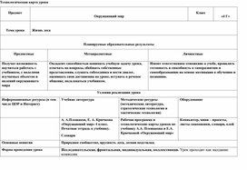 Открытый урок по окружающему миру на тему: «Жизнь леса»