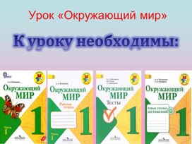 Презентация к уроку окружающего мира в 1 классе "Откуда берётся мусор?"