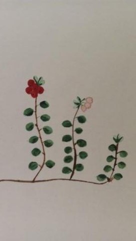 Обложка для материала Рисунок "Брусника"