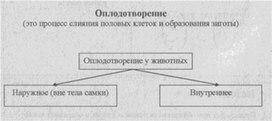 Материал к урокам  биологии