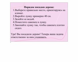 Памятка посадки деревьев для детей младшего дошкольного возраста