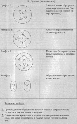 Материал к урокам  биологии