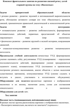 Конспект фронтального занятия по развитию связной речи у детей старшей группы на тему «Насекомые»