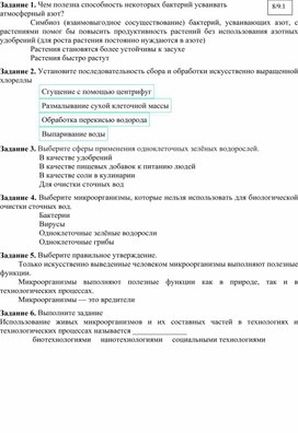 Микроорганизмы, их строение и значение для человека