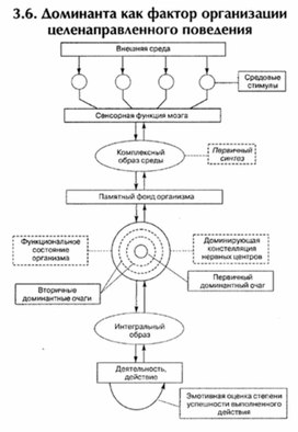 Обложка для материала материал по психофизиологии
