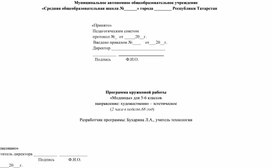 Программа кружковой работы  «Модницы» для 5-6 классов