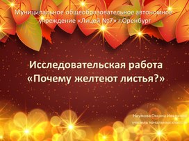 Почему листья желтеют?